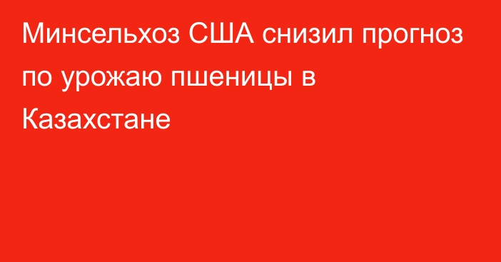 Минсельхоз США снизил прогноз по урожаю пшеницы в Казахстане