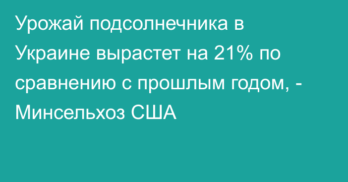 Урожай подсолнечника в Украине вырастет на 21% по сравнению с прошлым годом, - Минсельхоз США