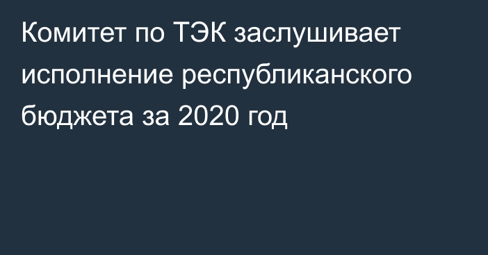 Комитет по ТЭК заслушивает исполнение республиканского бюджета за 2020 год