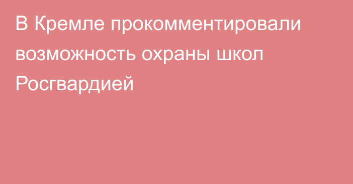 В Кремле прокомментировали возможность охраны школ Росгвардией