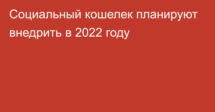 Социальный кошелек планируют внедрить в 2022 году