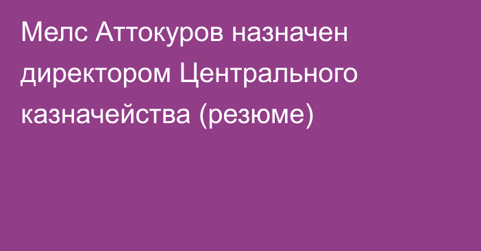 Мелс Аттокуров назначен директором Центрального казначейства (резюме)