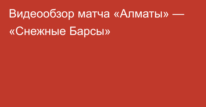 Видеообзор матча «Алматы» — «Снежные Барсы»