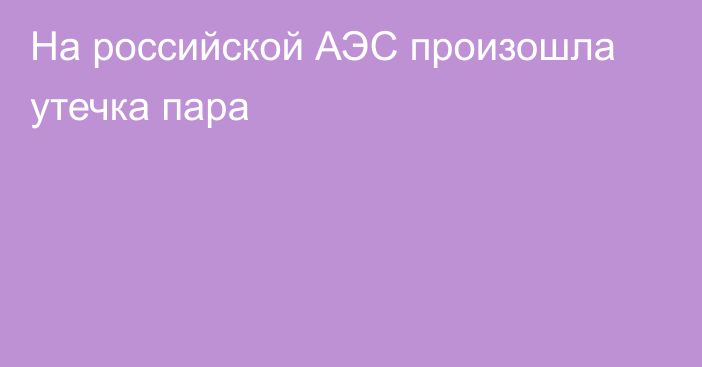 На российской АЭС произошла утечка пара