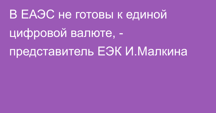 В ЕАЭС не готовы к единой цифровой валюте, - представитель ЕЭК И.Малкина