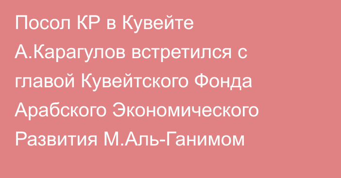 Посол КР в Кувейте А.Карагулов встретился с главой Кувейтского Фонда Арабского Экономического Развития М.Аль-Ганимом