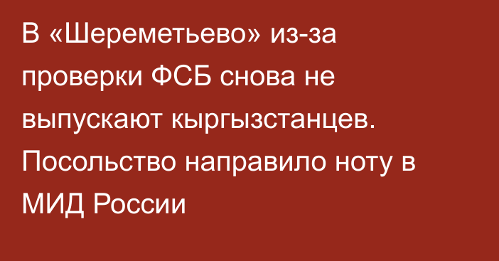 В «Шереметьево» из-за проверки ФСБ снова не выпускают кыргызстанцев. Посольство направило ноту в МИД России