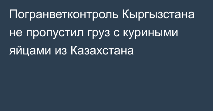 Погранветконтроль Кыргызстана не пропустил груз с куриными яйцами из Казахстана