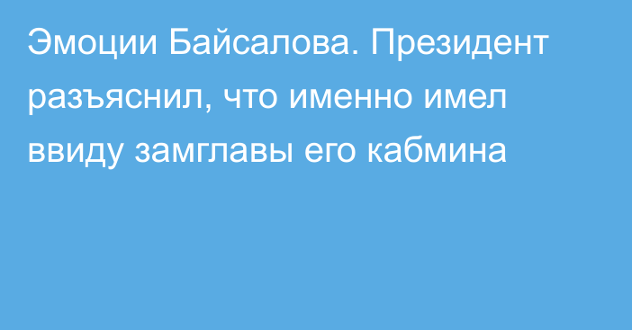 Эмоции Байсалова. Президент разъяснил, что именно имел ввиду замглавы его кабмина