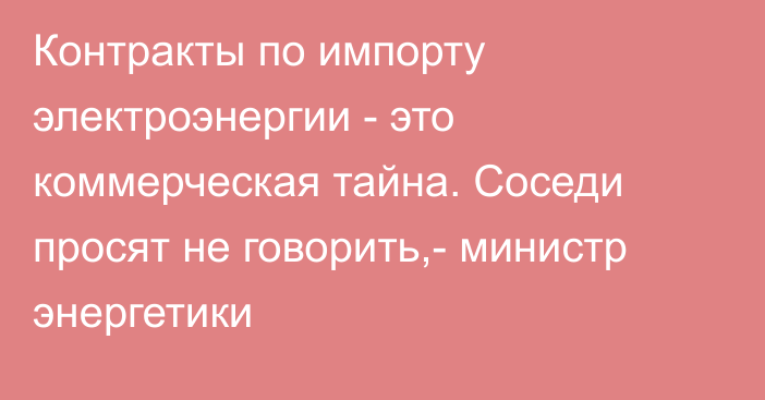 Контракты по импорту электроэнергии - это коммерческая тайна. Соседи просят не говорить,- министр энергетики