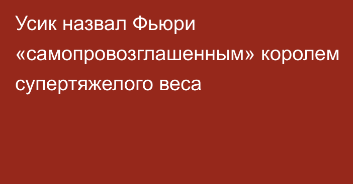 Усик назвал Фьюри «самопровозглашенным» королем супертяжелого веса