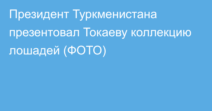 Президент Туркменистана презентовал Токаеву коллекцию лошадей (ФОТО)