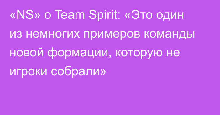 «NS» о Team Spirit: «Это один из немногих примеров команды новой формации, которую не игроки собрали»