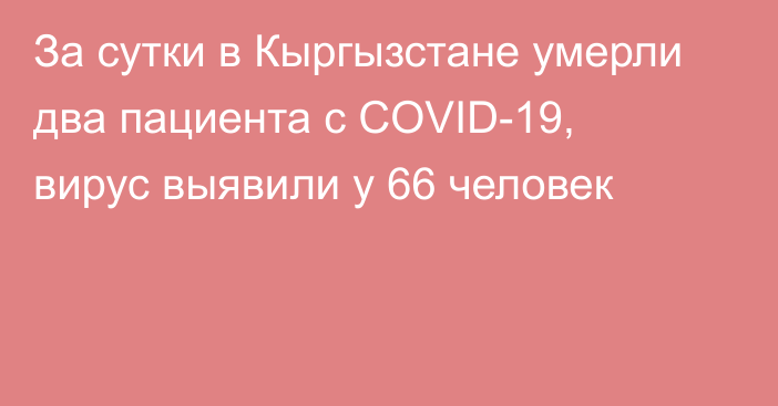 За сутки в Кыргызстане умерли два пациента с COVID-19, вирус выявили у 66 человек
