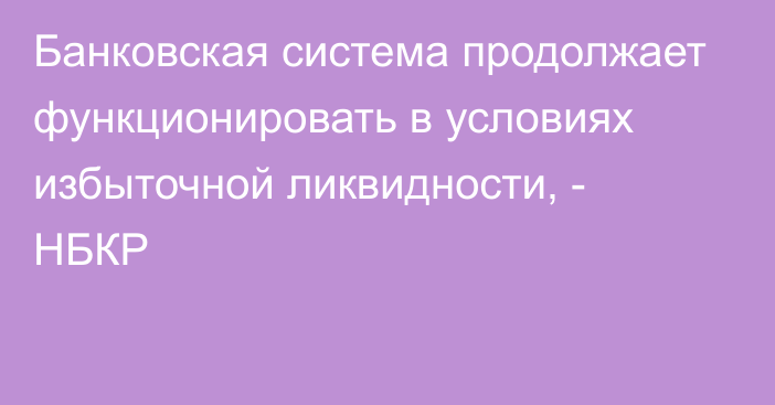 Банковская система продолжает функционировать в условиях избыточной ликвидности, - НБКР