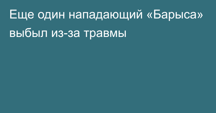 Еще один нападающий «Барыса» выбыл из-за травмы