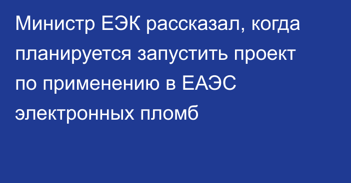 Министр ЕЭК рассказал, когда планируется запустить проект по применению в ЕАЭС электронных пломб