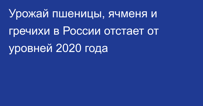 Урожай пшеницы, ячменя и гречихи в России отстает от уровней 2020 года