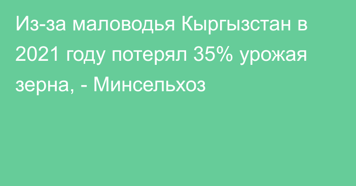 Из-за маловодья Кыргызстан в 2021 году потерял 35% урожая зерна, - Минсельхоз