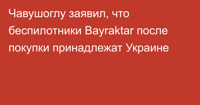 Чавушоглу заявил, что беспилотники Bayraktar после покупки принадлежат Украине
