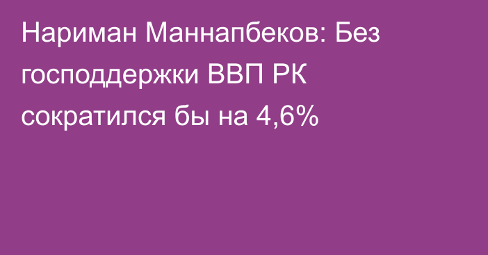 Нариман Маннапбеков: Без господдержки ВВП РК сократился бы на 4,6%