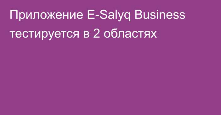 Приложение E-Salyq Business тестируется в 2 областях