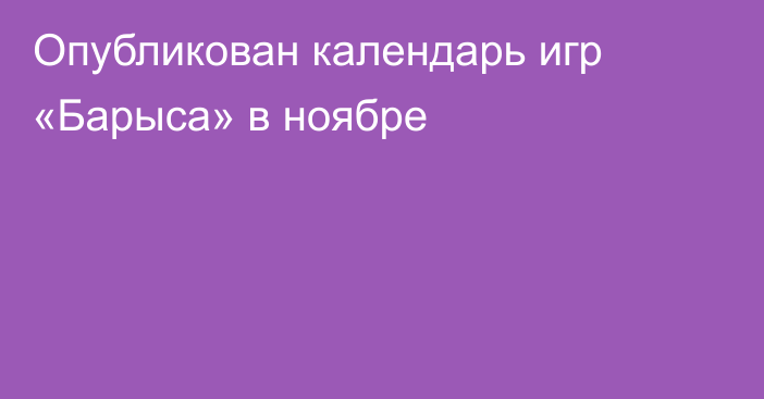 Опубликован календарь игр «Барыса» в ноябре