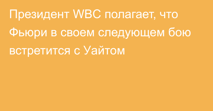 Президент WBC полагает, что Фьюри в своем следующем бою встретится с Уайтом