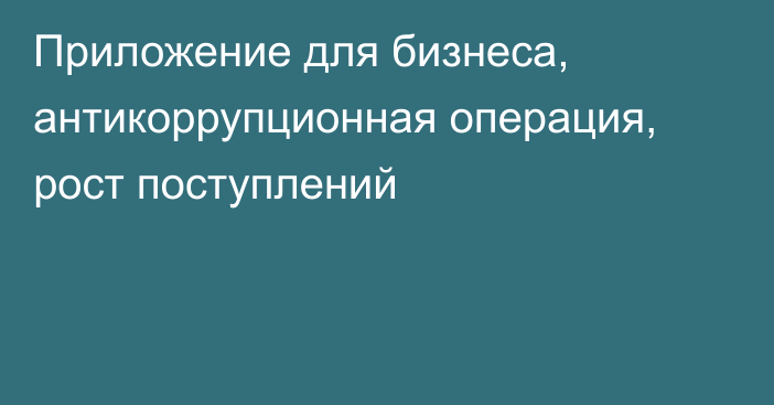 Приложение для бизнеса, антикоррупционная операция, рост поступлений