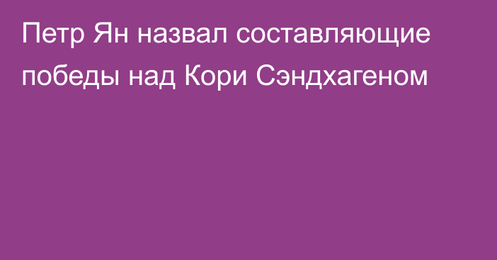 Петр Ян назвал составляющие победы над Кори Сэндхагеном