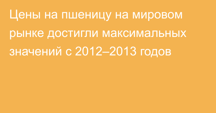 Цены на пшеницу на мировом рынке достигли максимальных значений с 2012–2013 годов