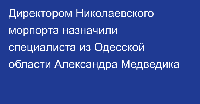 Директором Николаевского морпорта назначили специалиста из Одесской области Александра Медведика