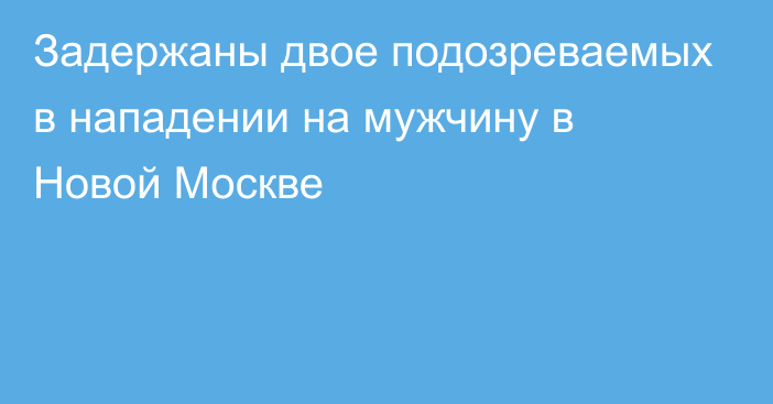 Задержаны двое подозреваемых в нападении на мужчину в Новой Москве