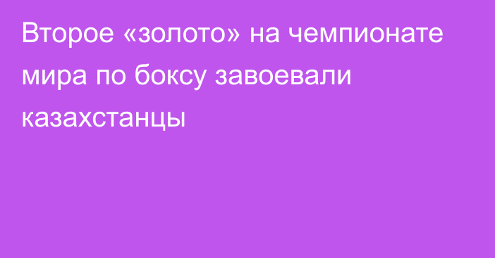 Второе «золото» на чемпионате мира по боксу завоевали казахстанцы