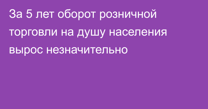 За 5 лет оборот розничной торговли на душу населения вырос незначительно