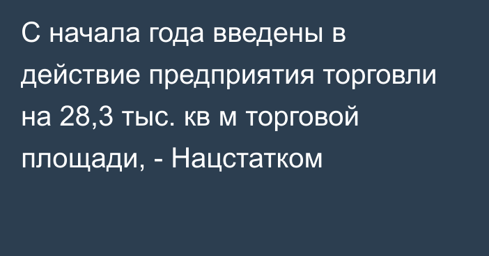 С начала года введены в действие предприятия торговли на 28,3 тыс. кв м торговой площади, - Нацстатком