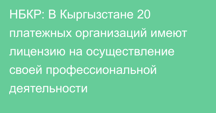 НБКР: В Кыргызстане 20 платежных организаций имеют лицензию на осуществление своей профессиональной деятельности