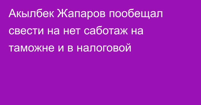 Акылбек Жапаров пообещал свести на нет саботаж на таможне и в налоговой