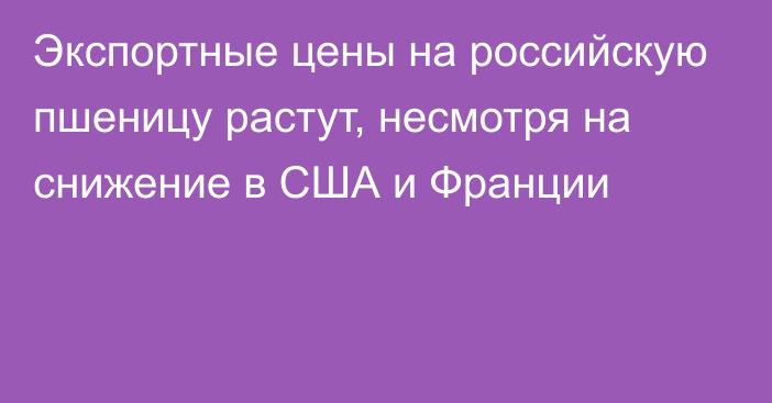 Экспортные цены на российскую пшеницу растут, несмотря на снижение в США и Франции