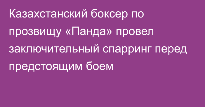 Казахстанский боксер по прозвищу «Панда» провел заключительный спарринг перед предстоящим боем