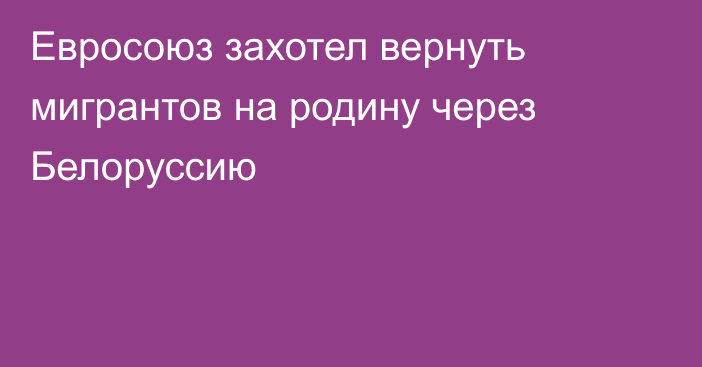 Евросоюз захотел вернуть мигрантов на родину через Белоруссию