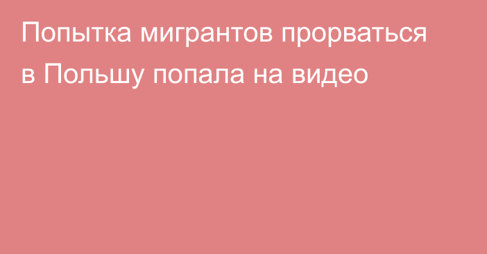 Попытка мигрантов прорваться в Польшу попала на видео