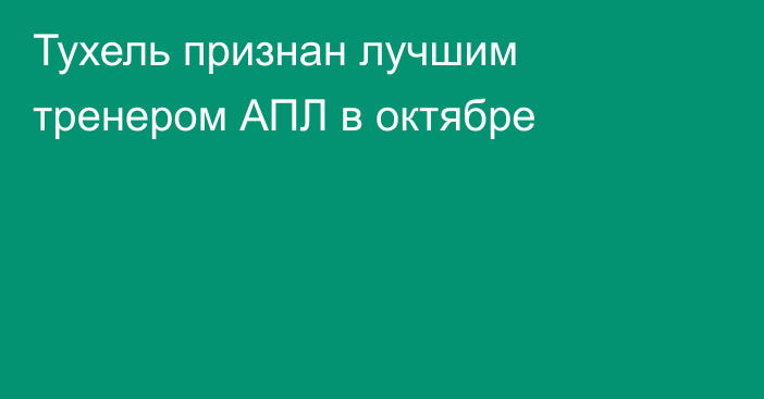 Тухель признан лучшим тренером АПЛ в октябре