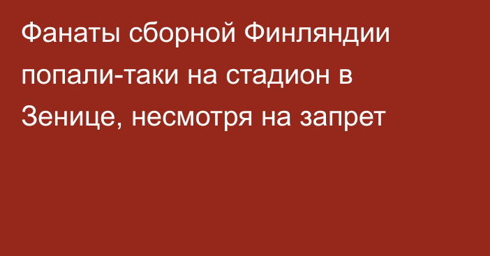 Фанаты сборной Финляндии попали-таки на стадион в Зенице, несмотря на запрет