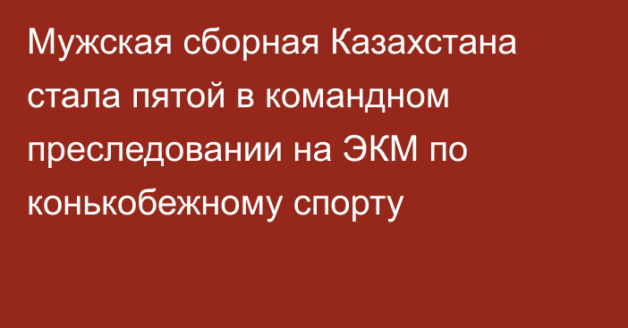 Мужская сборная Казахстана стала пятой в командном преследовании на ЭКМ по конькобежному спорту