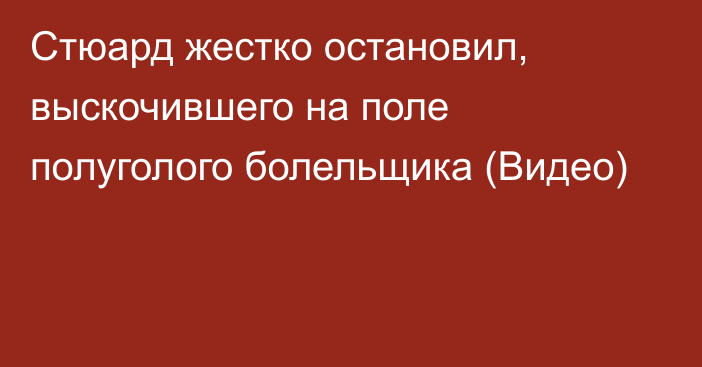 Стюард жестко остановил, выскочившего на поле полуголого болельщика (Видео)