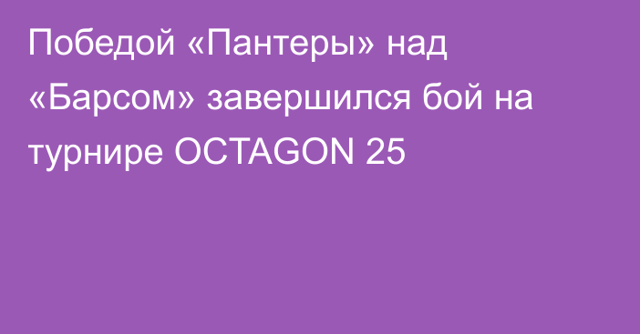 Победой «Пантеры» над «Барсом» завершился бой на турнире OCTAGON 25