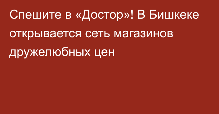 Спешите в «Достор»! В Бишкеке открывается сеть магазинов дружелюбных цен