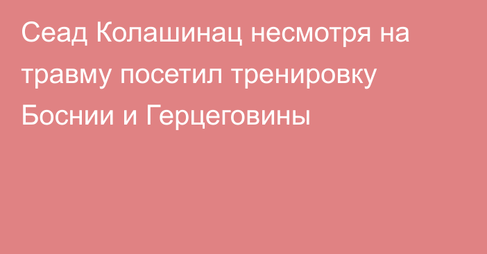 Сеад Колашинац несмотря на травму посетил тренировку Боснии и Герцеговины