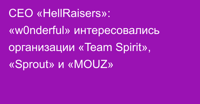 CEO «HellRaisers»: «w0nderful» интересовались организации «Team Spirit», «Sprout» и «MOUZ»
